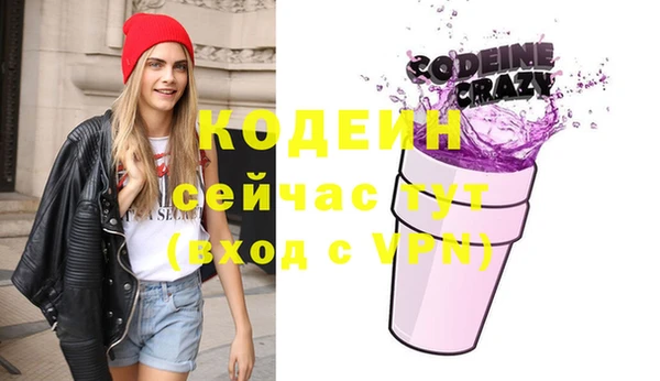 стаф Каменка