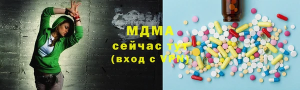 стаф Каменка