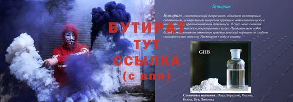 стаф Каменка