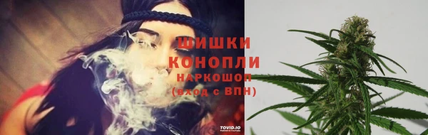 a pvp Каменногорск