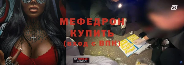 стаф Каменка