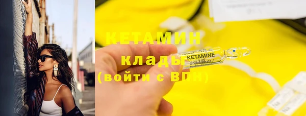 стаф Каменка