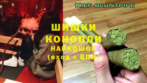 a pvp Каменногорск