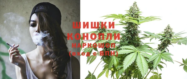 a pvp Каменногорск