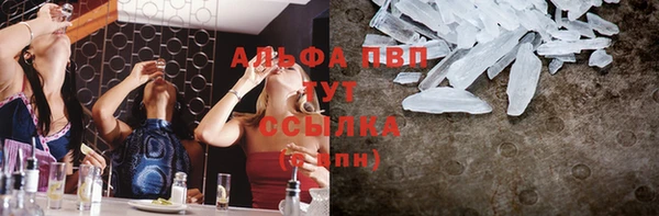 a pvp Каменногорск
