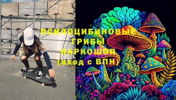 стаф Каменка