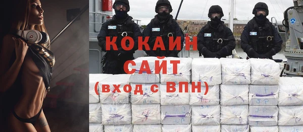 стаф Каменка
