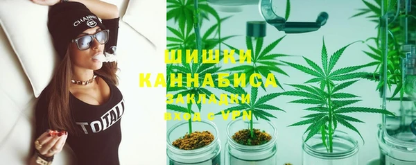 стаф Каменка