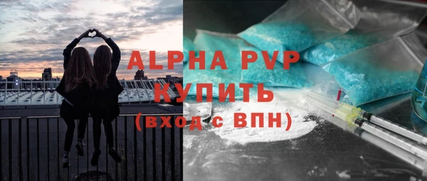 a pvp Каменногорск